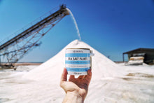 Load image into Gallery viewer, Sea Salt Flakes Stoneware Jar 250g