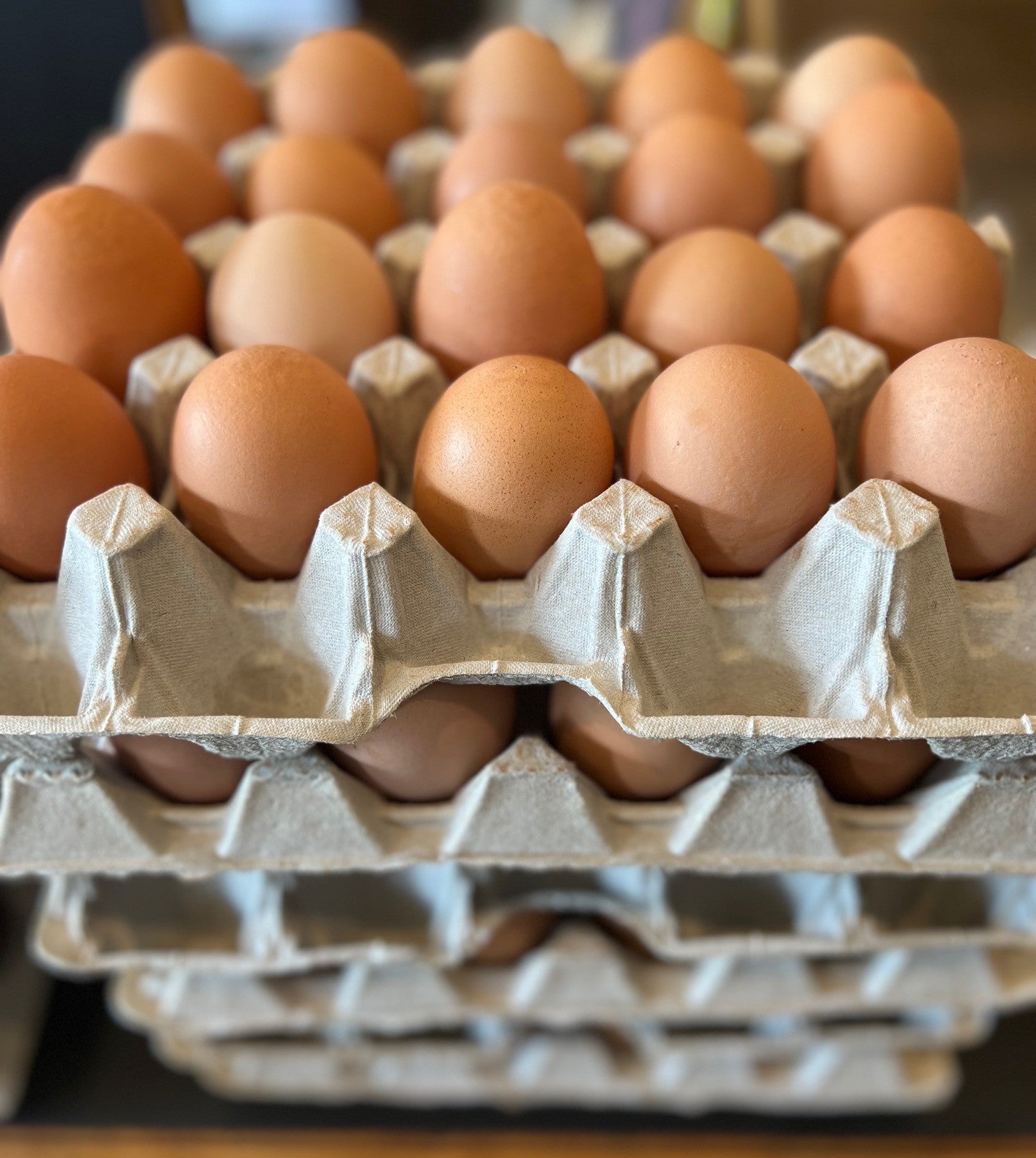 JUMBO Eggs LIMITED TIME! The Local Yolk