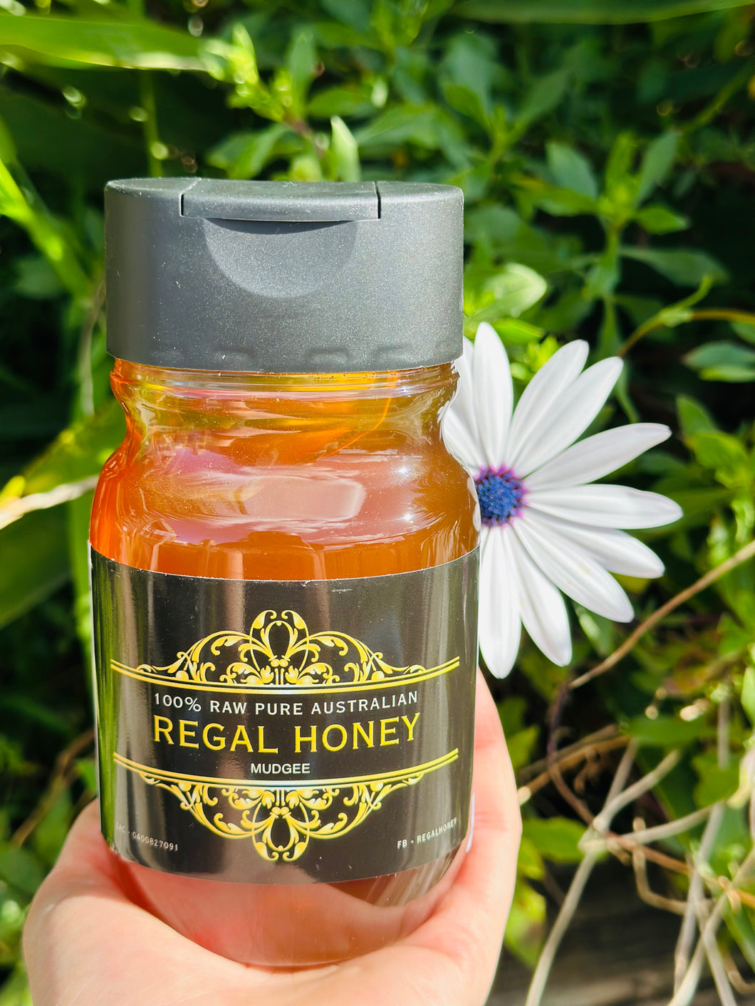 Regal Raw Honey 500g Squeeze