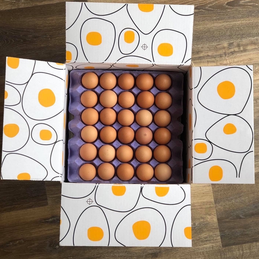 Pullet Eggs - Best Buy for your buck!